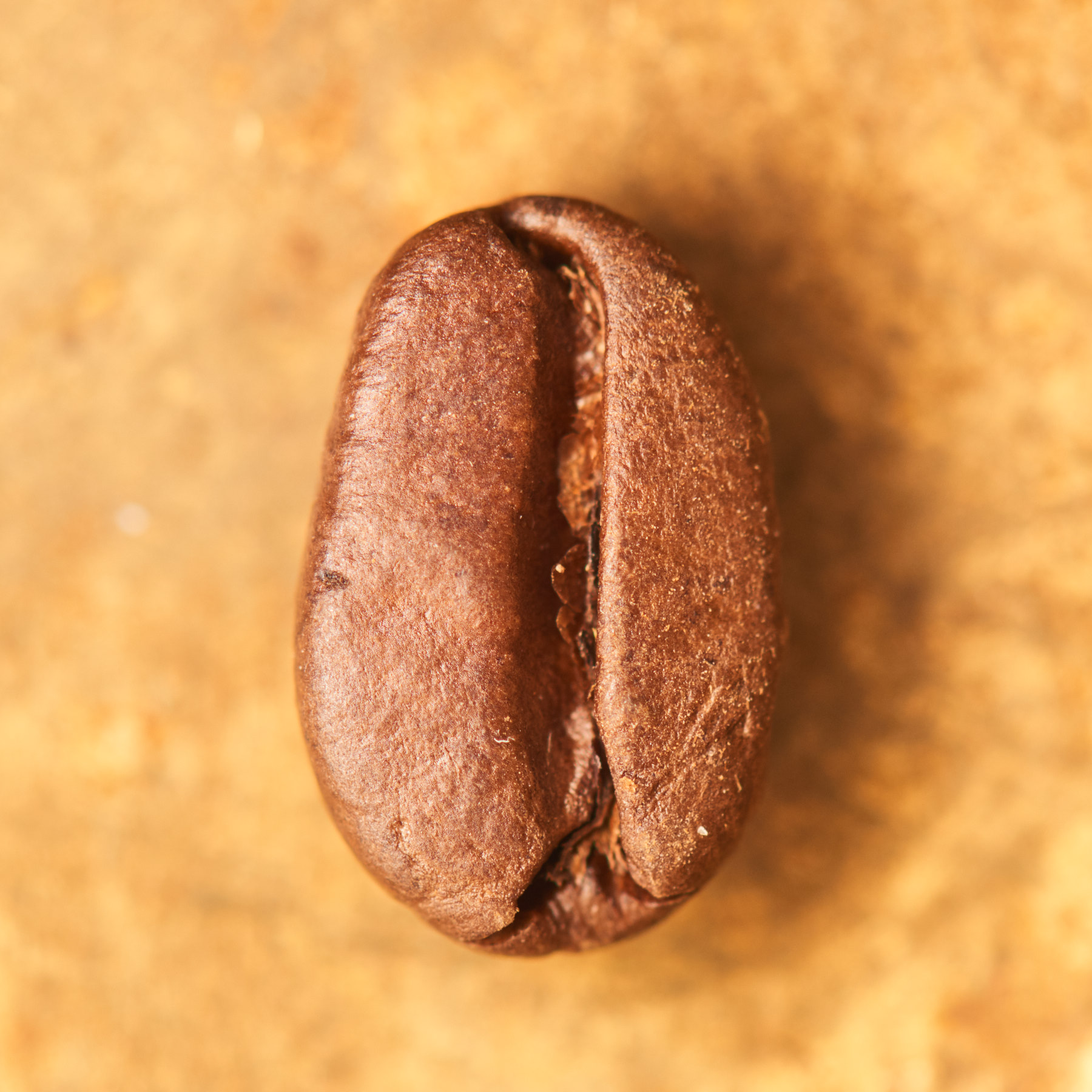 Photo of Finca El Cerro Anacafe Natural - Fruchtige Rarität aus El Salvador